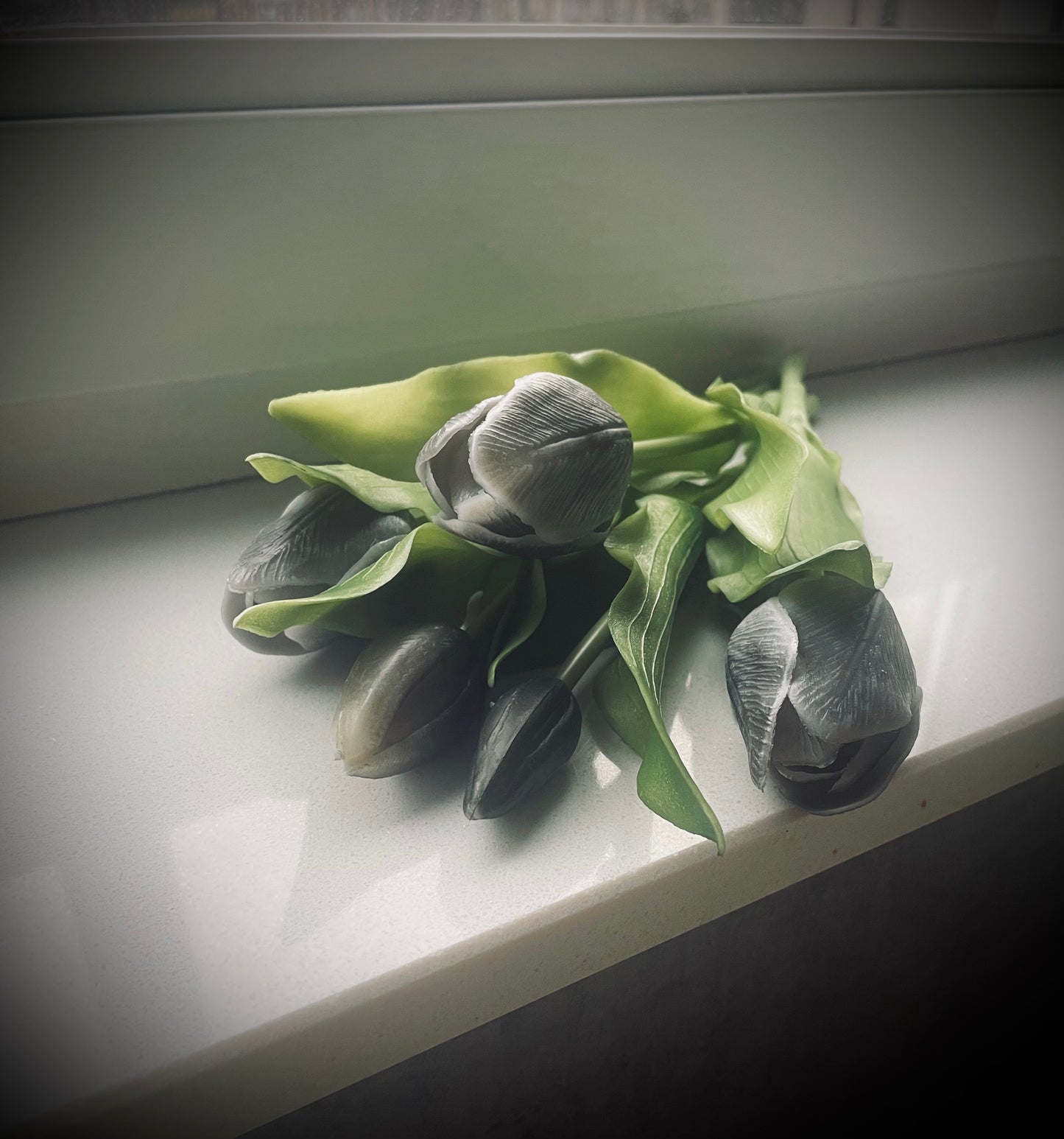 Tulpenbos Real Touch Black (5st)