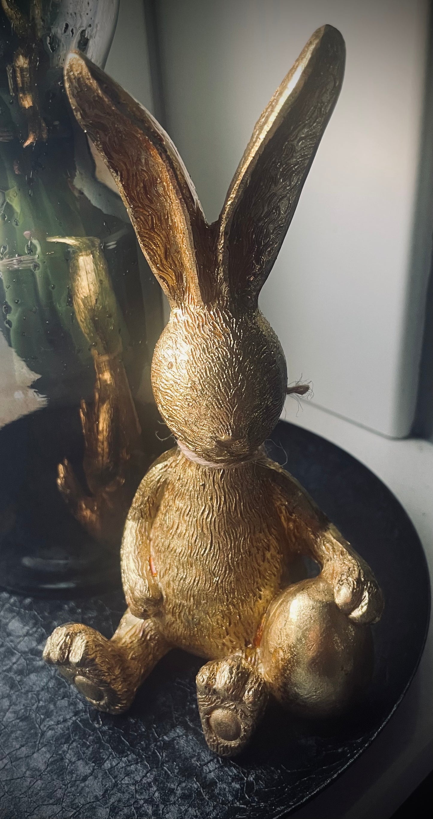 Haas Goud met Ei
