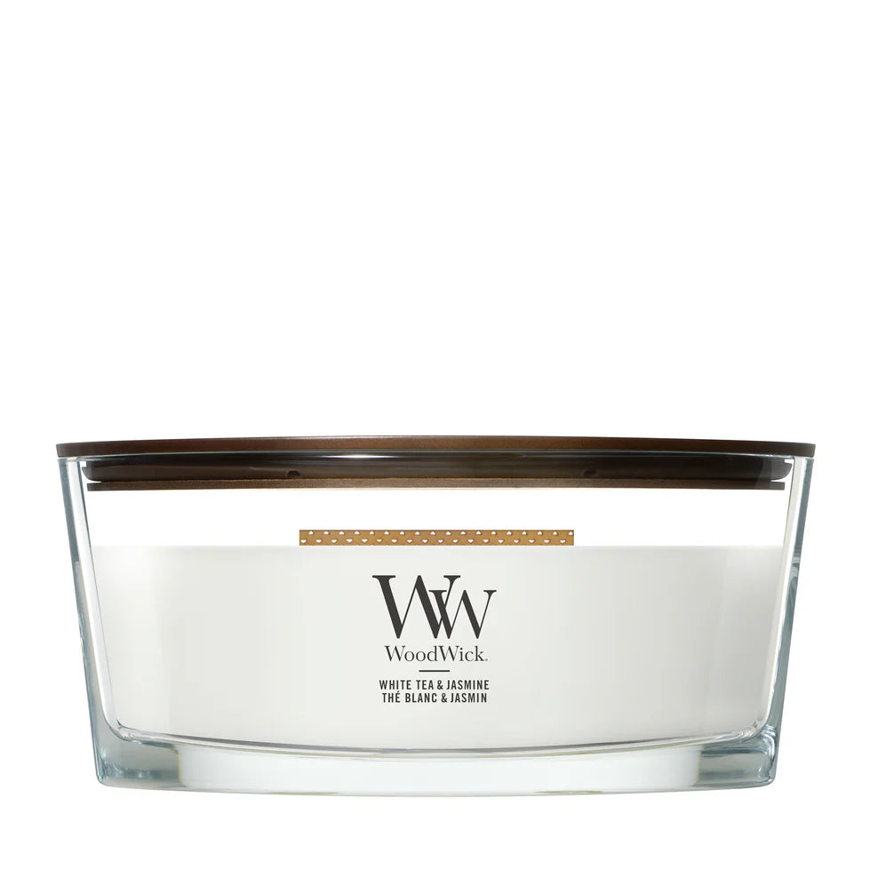 White Tea & Jasmine Ellipse